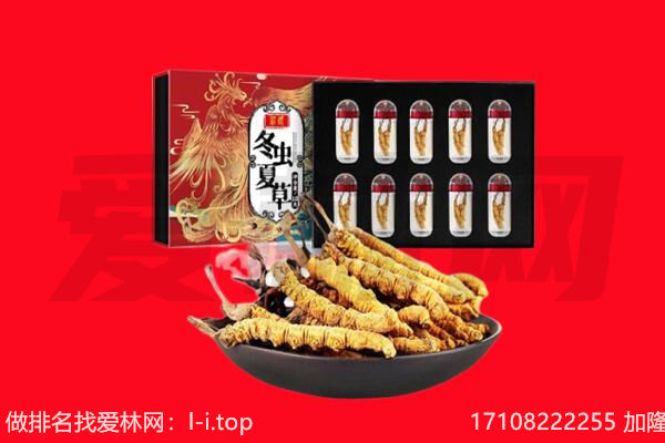 新昌县回收虫草.jpg